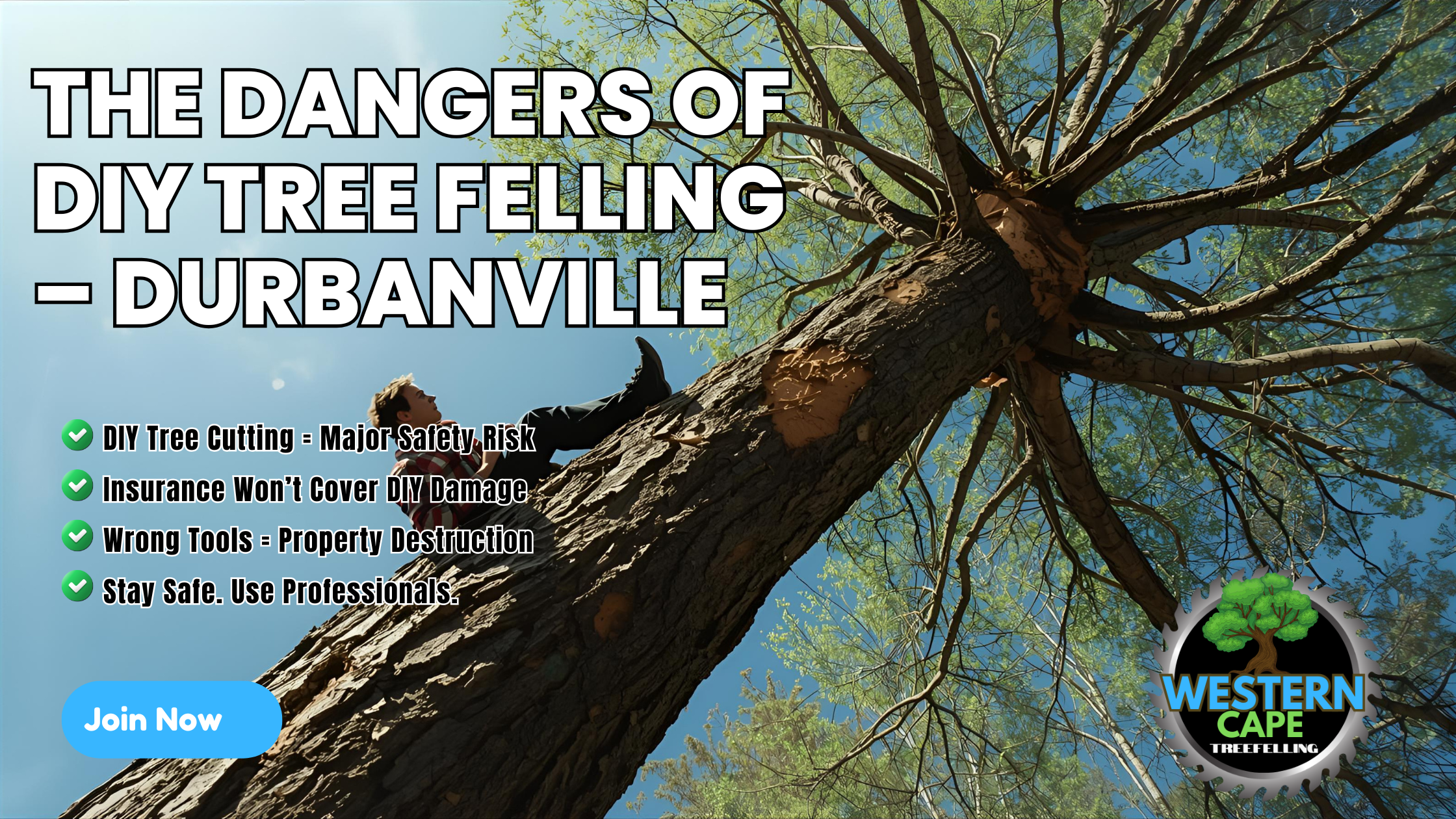 DIY Tree Felling is Dangerous – Durbanville Risks of DIY tree felling in Durbanville