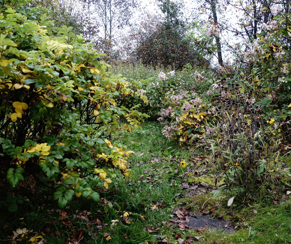 garden growth control in western cape garden growth control