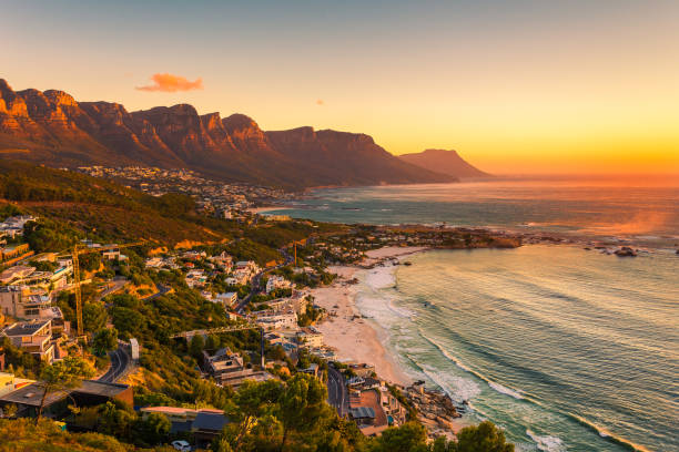 Spring Season Tree Care in Western cape